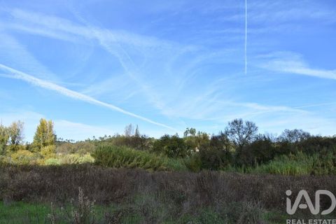 Helårsgrund i Ourem, Santarem, Ourem - € 8.500 | Ref: 751868 - foto 15