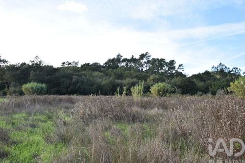 Helårsgrund i Ourem, Santarem, Ourem - € 8.500 | Ref: 751868 - foto 17