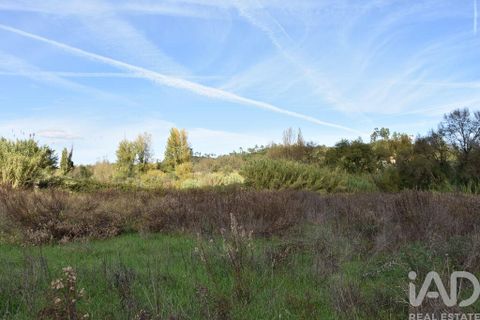 Helårsgrund i Ourem, Santarem, Ourem - € 8.500 | Ref: 751868 - foto 19