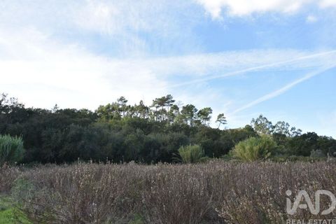 Helårsgrund i Ourem, Santarem, Ourem - € 8.500 | Ref: 751868 - foto 20