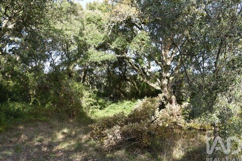 Helårsgrund i Ourem, Santarem, Ourem - € 8.500 | Ref: 751868 - foto 21