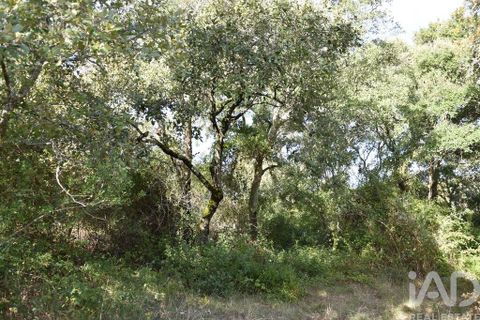 Helårsgrund i Ourem, Santarem, Ourem - € 8.500 | Ref: 751868 - foto 22