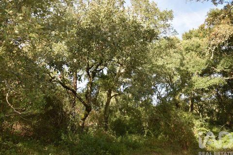 Helårsgrund i Ourem, Santarem, Ourem - € 8.500 | Ref: 751868 - foto 23
