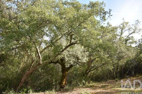 Helårsgrund i Ourem, Santarem, Ourem - € 8.500 | Ref: 751868 - foto 25