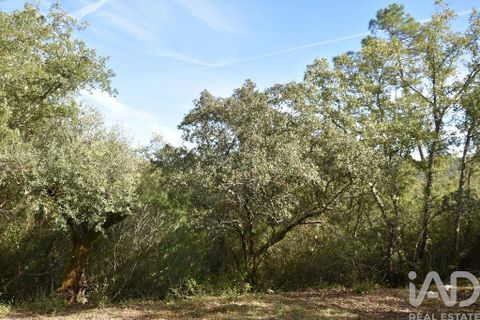 Helårsgrund i Ourem, Santarem, Ourem - € 8.500 | Ref: 751868 - foto 26