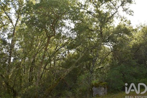 Helårsgrund i Ourem, Santarem, Ourem - € 8.500 | Ref: 751868 - foto 27