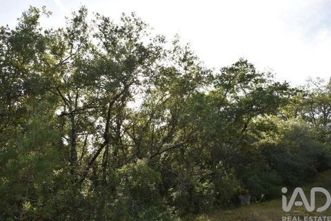 Helårsgrund i Ourem, Santarem, Ourem - € 8.500 | Ref: 751868 - foto 28
