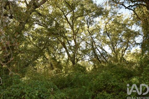 Helårsgrund i Ourem, Santarem, Ourem - € 8.500 | Ref: 751868 - foto 30