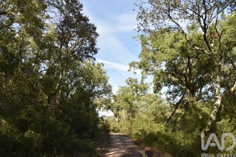Helårsgrund i Ourem, Santarem, Ourem - € 8.500 | Ref: 751868 - foto 32