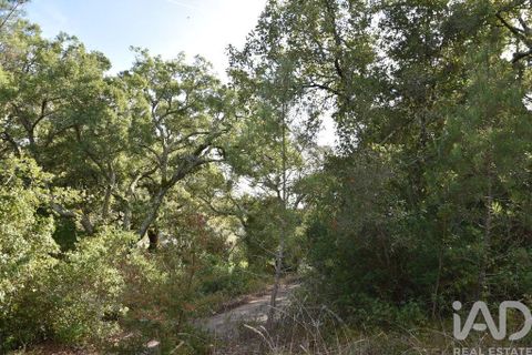 Helårsgrund i Ourem, Santarem, Ourem - € 8.500 | Ref: 751868 - foto 33