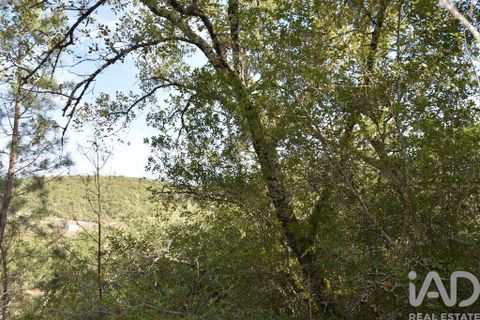 Helårsgrund i Ourem, Santarem, Ourem - € 8.500 | Ref: 751868 - foto 37
