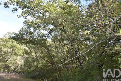 Helårsgrund i Ourem, Santarem, Ourem - € 8.500 | Ref: 751868 - foto 38