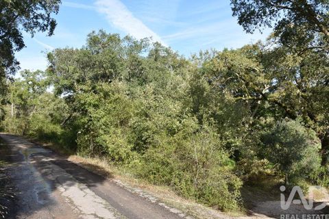 Helårsgrund i Ourem, Santarem, Ourem - € 8.500 | Ref: 751868 - foto 39