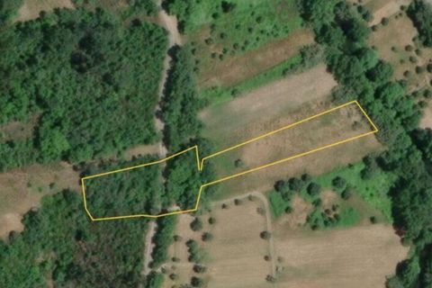 Helårsgrund i Ourem, Santarem, Ourem - € 8.500 | Ref: 751868 - foto 40