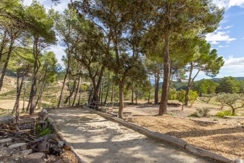 Farm i Torremanzanas, Alicante, Torremanzanas - € 1.550.000 | Ref: MAS_760 - foto 31