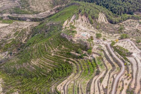 Farm i Torremanzanas, Alicante, Torremanzanas - € 1.550.000 | Ref: MAS_760 - foto 32