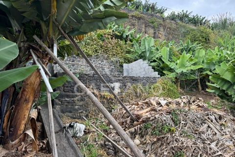 Villa i Ponta do Sol, Madeira, Ponta do Sol - € 2.400.000 | Ref: 3187 - foto 13