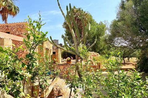 Finca i Son Carrio, Mallorca, Son Carrio - € 1.980.000 | Ref: BI-01AT - foto 18