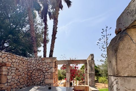 Finca i Son Carrio, Mallorca, Son Carrio - € 1.980.000 | Ref: BI-01AT - foto 13