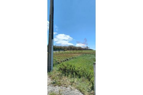 Terra a Santa Barbara, Lisbon, Santa Barbara - € 210.000 | Ref: 98363MM - foto 6