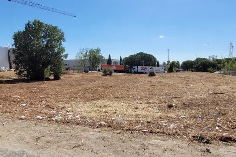 Helårsgrund i Montijo, Setubal, Montijo - € 2.300.000 | Ref: ptm4552 - foto 2