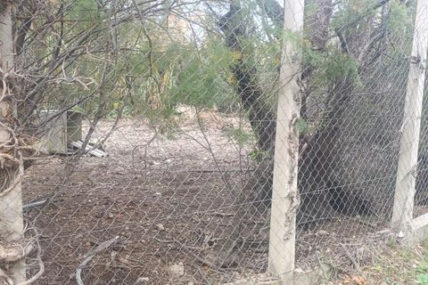 Terra a La Palme, Aude, La Palme - € 36.900 | Ref: 11853 - foto 3