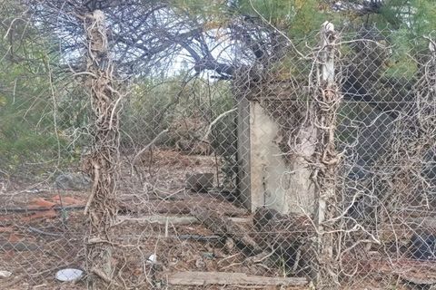 Terra a La Palme, Aude, La Palme - € 36.900 | Ref: 11853 - foto 4