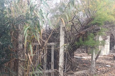 Terra a La Palme, Aude, La Palme - € 36.900 | Ref: 11853 - foto 5
