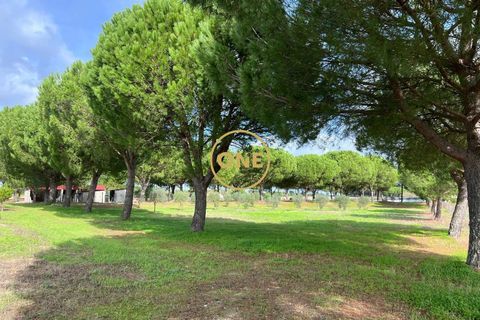 Byhus i Coruche, Santarem, Coruche - € 780.000 | Ref: ONE521834-10 - foto 46