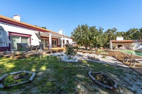 Landejendom i Santo Andre, Setubal, Santo Andre - € 3.400.000 | Ref: 250023 - foto 5