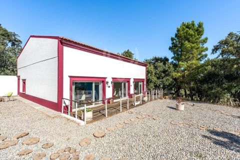 Landejendom i Santo Andre, Setubal, Santo Andre - € 3.400.000 | Ref: 250023 - foto 32