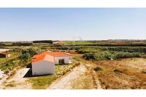 Villa i Ferrel, Leiria, Ferrel - € 1.200.000 | Ref: SP235 - foto 4