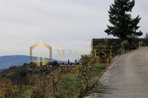 Farm i Peso da Regua, Vila Real, Peso da Regua - € 395.000 | Ref: vid_P251101 - foto 6