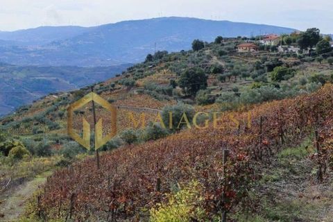 Farm i Peso da Regua, Vila Real, Peso da Regua - € 395.000 | Ref: vid_P251101 - foto 9