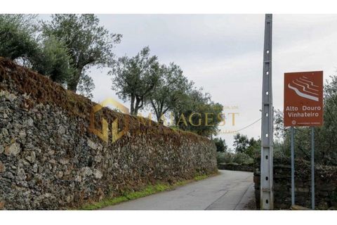 Farm i Peso da Regua, Vila Real, Peso da Regua - € 395.000 | Ref: vid_P251101 - foto 11