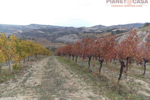 Helårsgrund i Ripatransone, Ascoli Piceno, Ripatransone - € 90.000 | Ref: VS2753 - foto 1