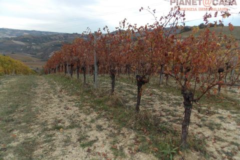 Helårsgrund i Ripatransone, Ascoli Piceno, Ripatransone - € 90.000 | Ref: VS2753 - foto 2