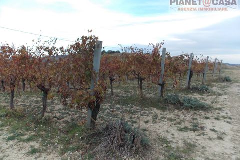 Helårsgrund i Ripatransone, Ascoli Piceno, Ripatransone - € 90.000 | Ref: VS2753 - foto 3