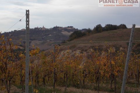 Helårsgrund i Ripatransone, Ascoli Piceno, Ripatransone - € 90.000 | Ref: VS2753 - foto 4