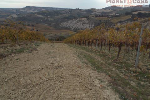 Helårsgrund i Ripatransone, Ascoli Piceno, Ripatransone - € 90.000 | Ref: VS2753 - foto 5