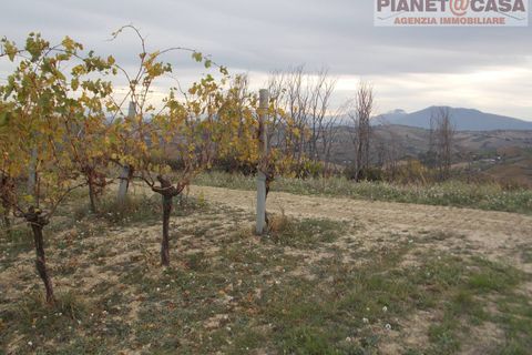 Helårsgrund i Ripatransone, Ascoli Piceno, Ripatransone - € 90.000 | Ref: VS2753 - foto 7