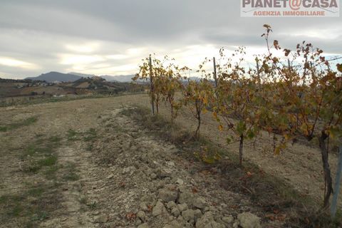 Helårsgrund i Ripatransone, Ascoli Piceno, Ripatransone - € 90.000 | Ref: VS2753 - foto 14