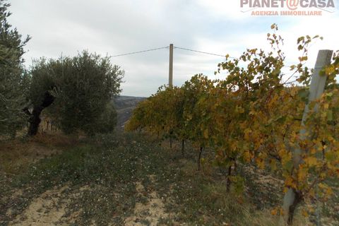 Helårsgrund i Ripatransone, Ascoli Piceno, Ripatransone - € 90.000 | Ref: VS2753 - foto 16