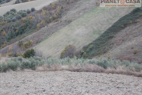 Helårsgrund i Ripatransone, Ascoli Piceno, Ripatransone - € 90.000 | Ref: VS2753 - foto 18