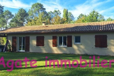 Villa i Bazas, Gironde, Bazas - € 210.000 | Ref: U_9812 - foto 3