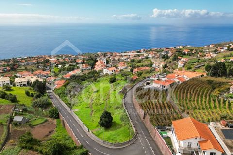 Helårsgrund i Calheta, Madeira, Calheta - € 1.100.000 | Ref: 101373 - foto 6