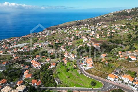 Helårsgrund i Calheta, Madeira, Calheta - € 1.100.000 | Ref: 101373 - foto 9