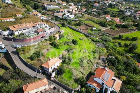 Helårsgrund i Calheta, Madeira, Calheta - € 1.100.000 | Ref: 101373 - foto 14