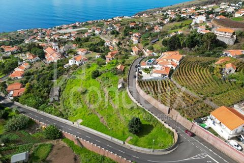 Helårsgrund i Calheta, Madeira, Calheta - € 1.100.000 | Ref: 101373 - foto 24