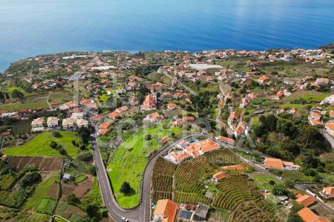 Helårsgrund i Calheta, Madeira, Calheta - € 1.100.000 | Ref: 101373 - foto 27